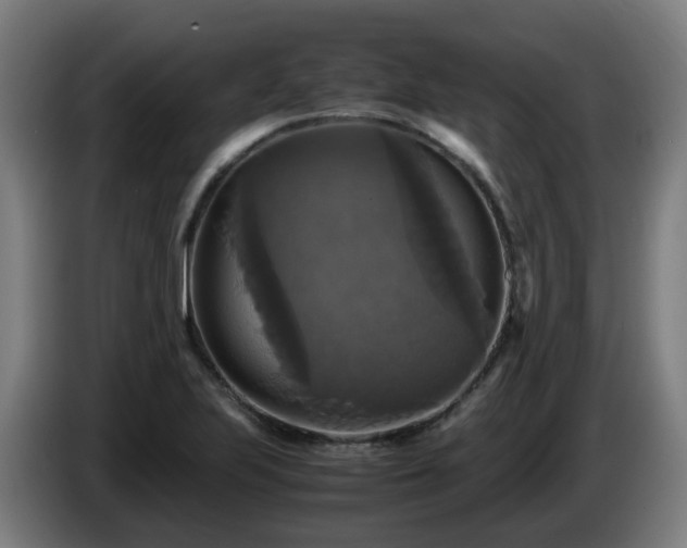 X0000086011223200703301003