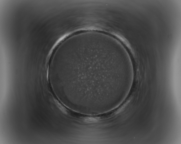 X0000086011224200703301003