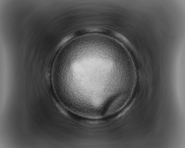 X0000086011225200703301003