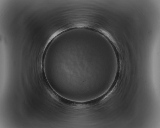 X0000086011226200703301003