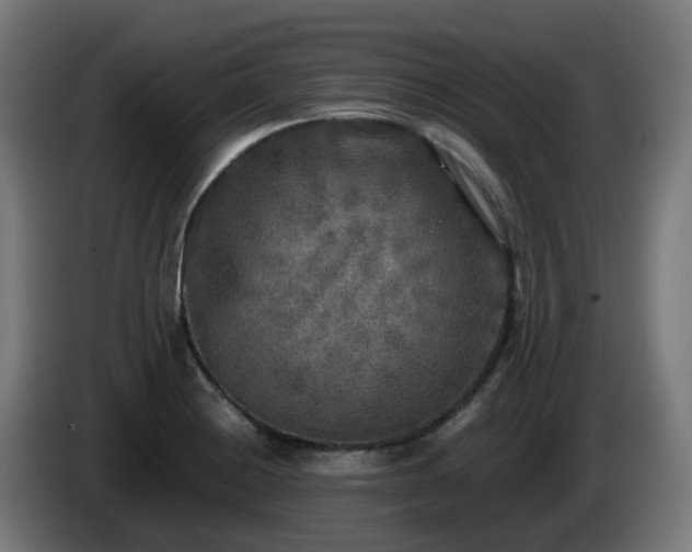 X0000086011228200703301003