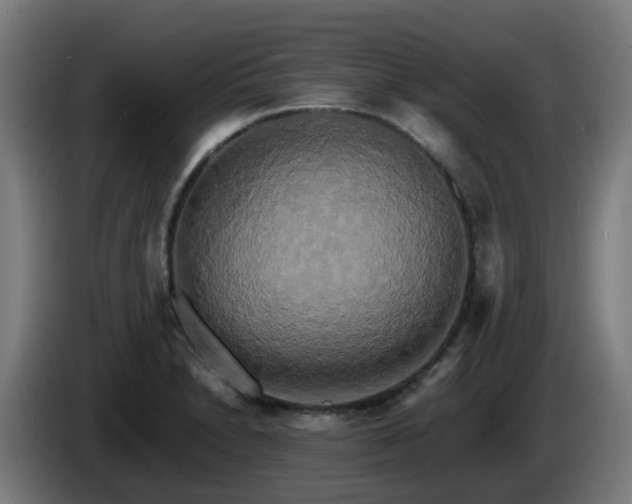 X0000086011230200703301003