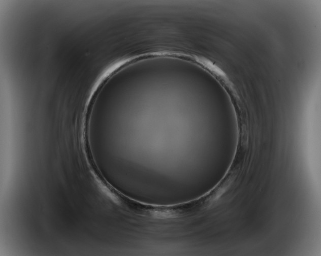 X0000086011231200703301003