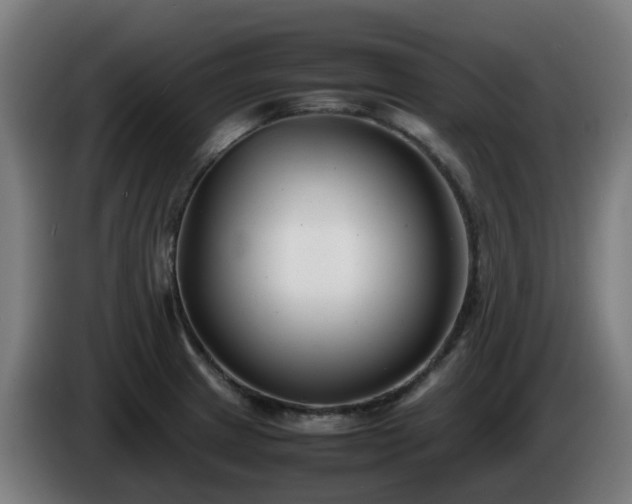 X0000086011233200703301003