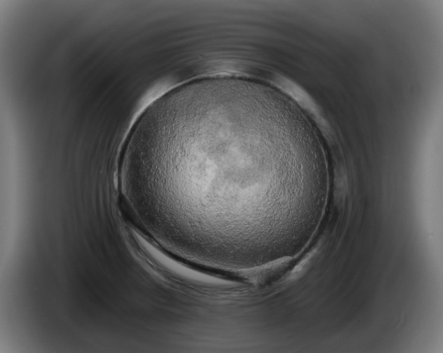 X0000086011234200703301003