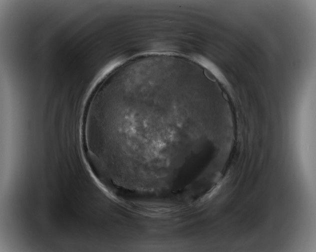 X0000086011237200703301003