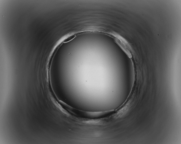 X0000086011238200703301003