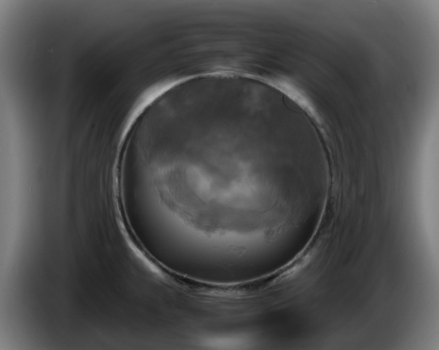 X0000086011239200703301003