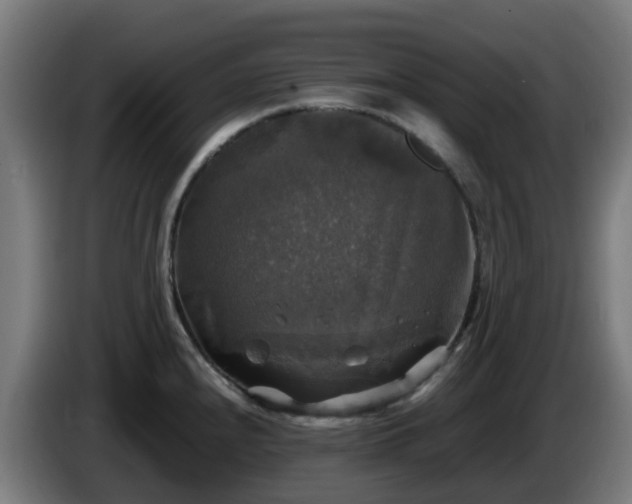 X0000086011240200703301003