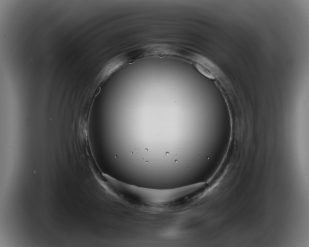 X0000086011241200703301003