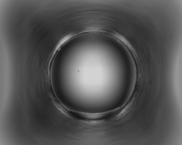 X0000086011242200703301003