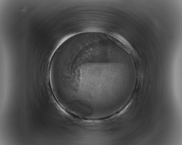 X0000086011244200703301003