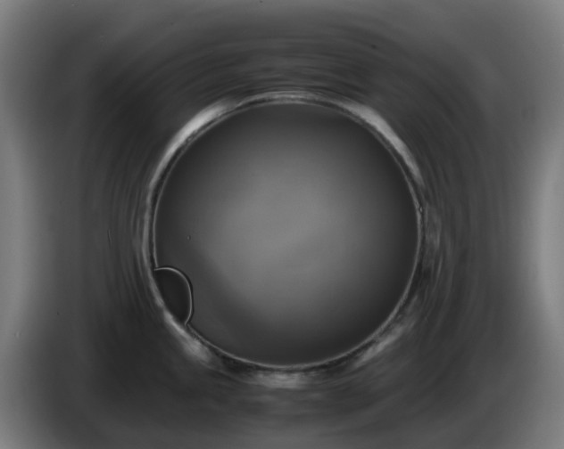 X0000086011245200703301003