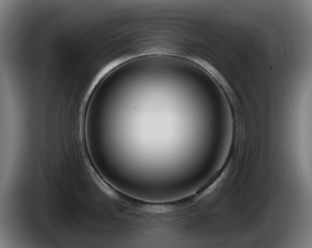 X0000086011246200703301003
