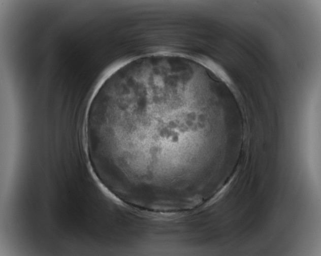 X0000086011247200703301003