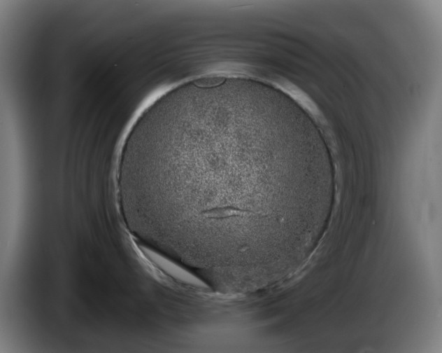X0000086011248200703301003