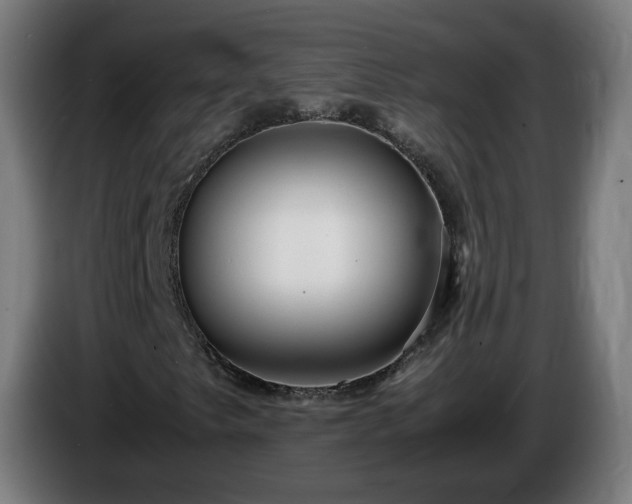 X0000086011249200703301003