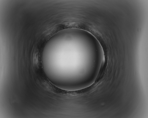 X0000086011250200703301003