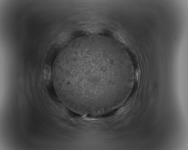 X0000086011251200703301003