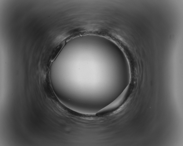 X0000086011257200703301002
