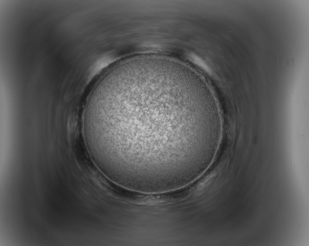 X0000086011259200703301002
