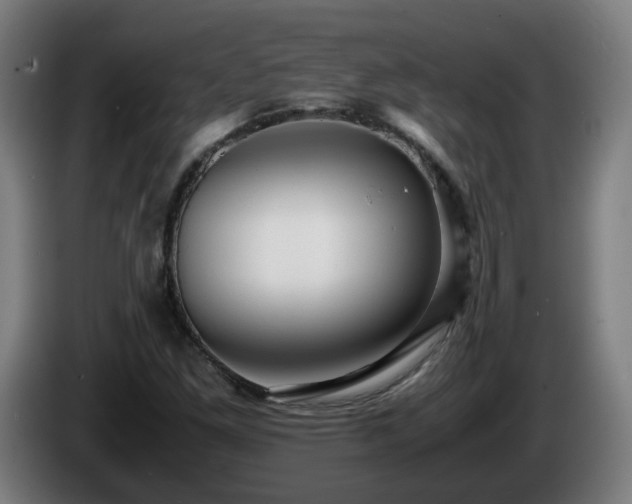 X0000086011261200703301002