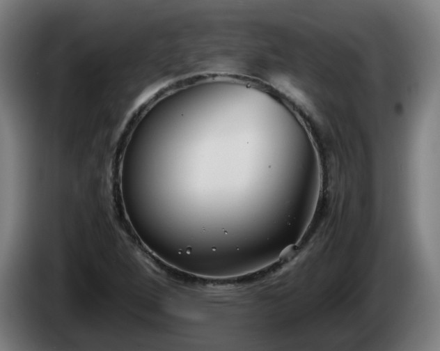 X0000086011264200703301002