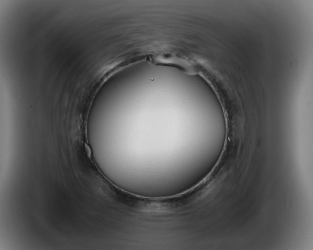 X0000086011265200703301002