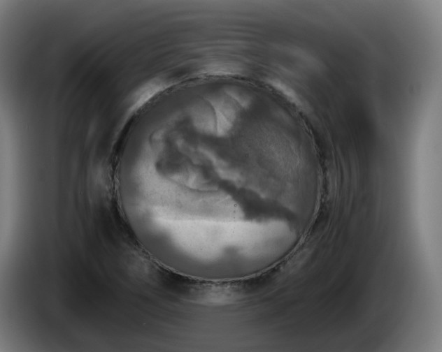 X0000086011266200703301002