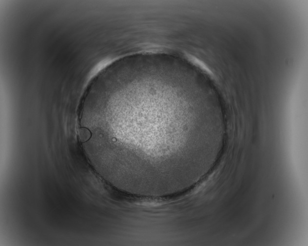 X0000086011267200703301002