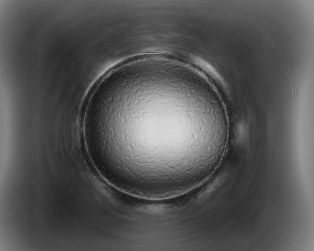 X0000086011268200703301002