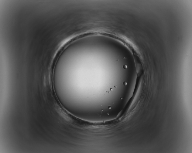 X0000086011272200703301002