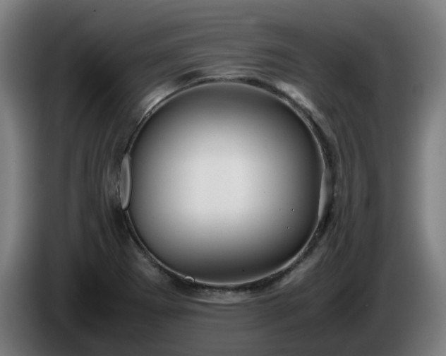 X0000086011273200703301002