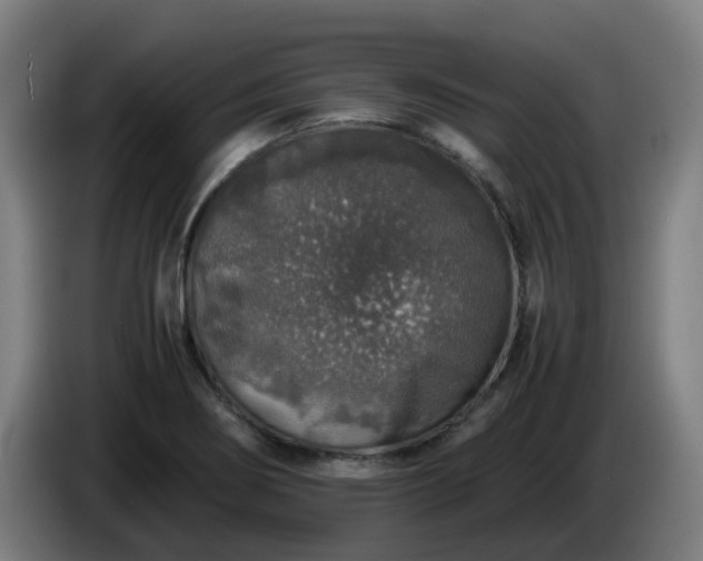 X0000086011274200703301002