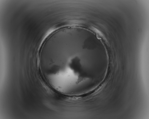 X0000086011275200703301002