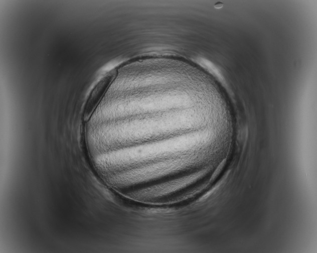 X0000086011277200703301002