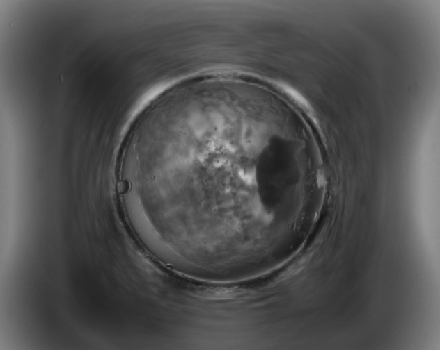 X0000086011279200703301002