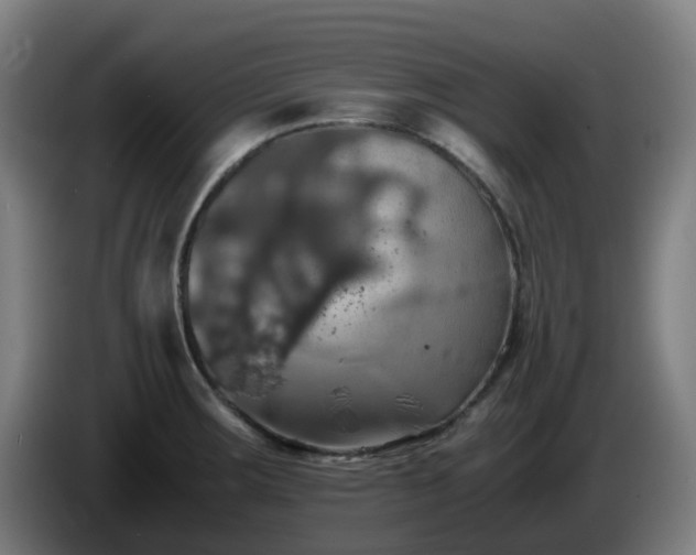 X0000086011283200703301002