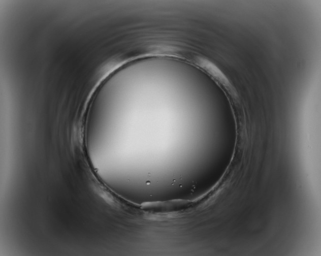 X0000086011284200703301002
