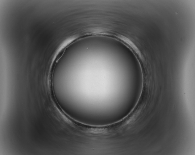 X0000086011285200703301002