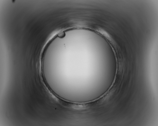 X0000086011286200703301002
