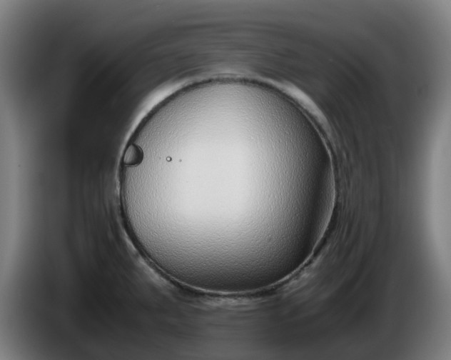 X0000086011287200703301002