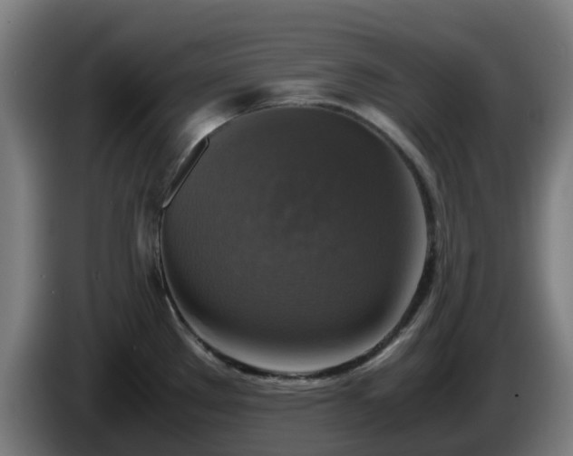 X0000086011289200703301002
