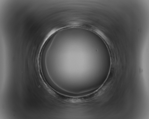 X0000086011291200703301002