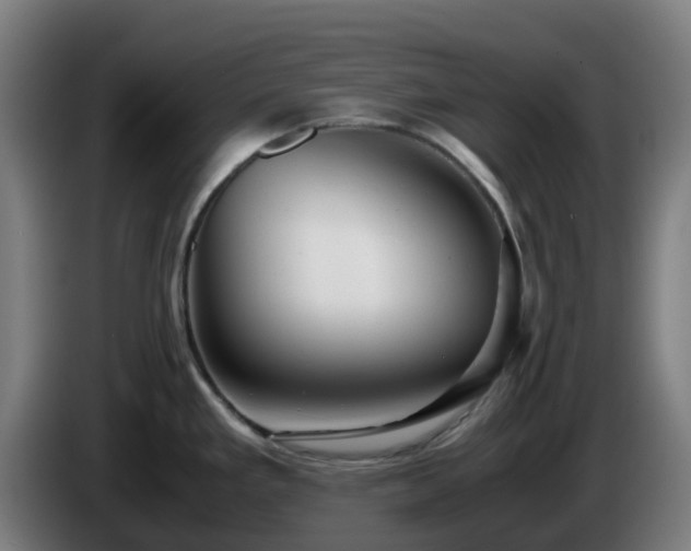 X0000086011293200703301002