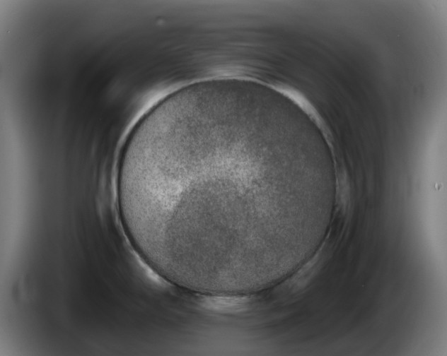 X0000086011294200703301002