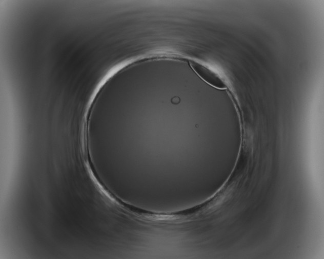 X0000086011295200703301002