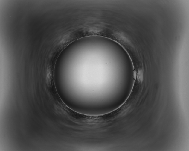 X0000086011299200703301001
