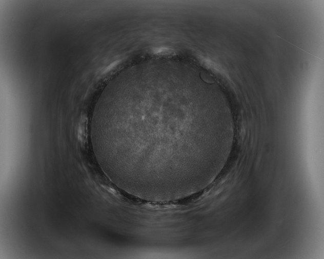 X0000086011301200703301001