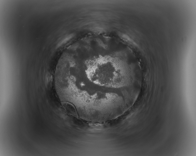 X0000086011302200703301001